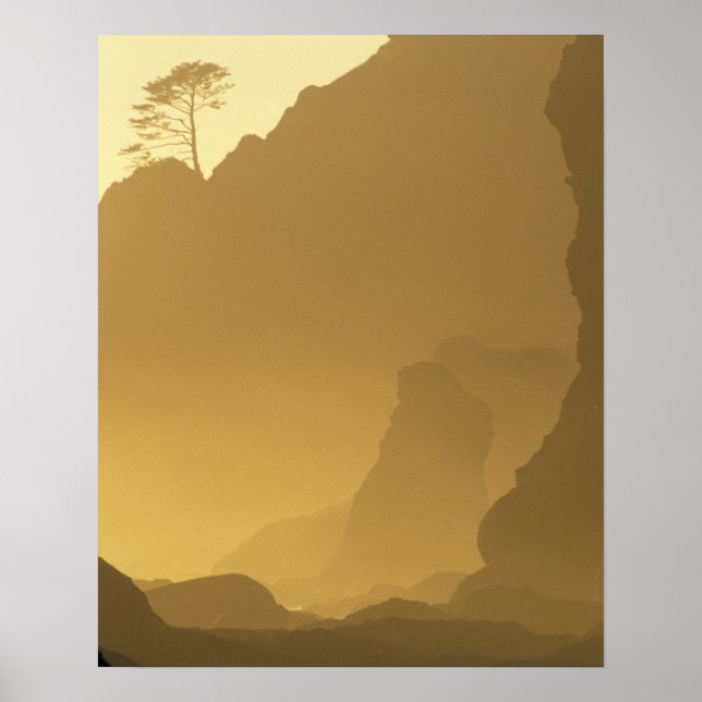 Pôster USA, Washington, Olympic Nat'l Park, Sunset, (Frente)