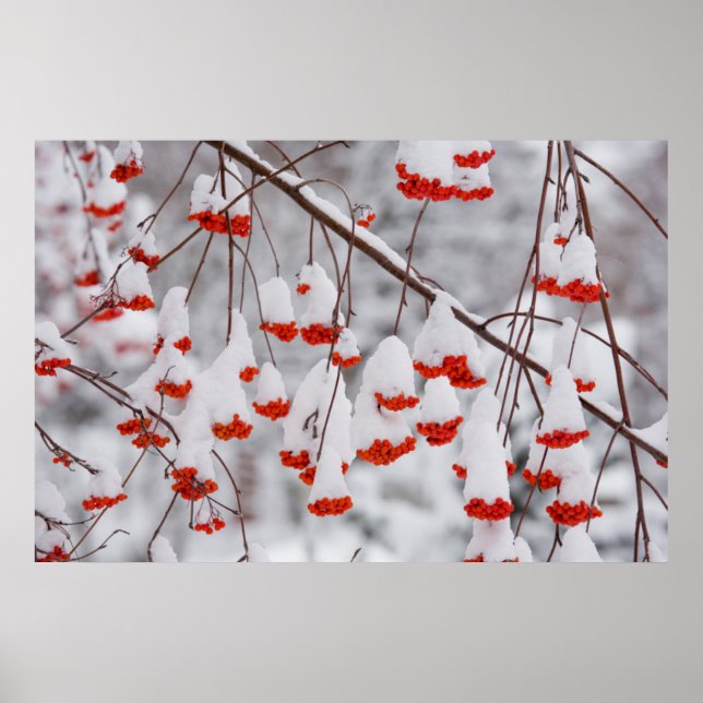 Poster USA, Washington, Spokane County (Frente)