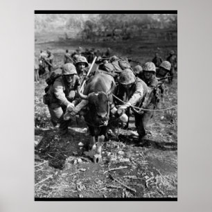 Pôster Usando todos os meios disponíveis_Imagem de Guerra