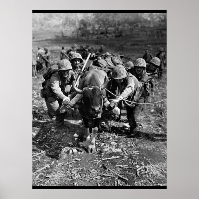 Pôster Usando todos os meios disponíveis_Imagem de Guerra (Frente)