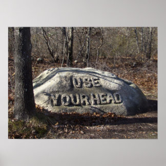 Pôster Use Sua Cabeça Babson Boulder