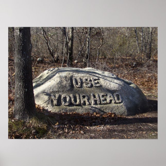 Pôster Use Sua Cabeça Babson Boulder (Frente)