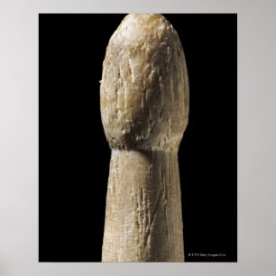 Poster Used Wooden Drumstick