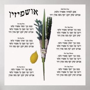 Poster Ushpizin & Arba Minim (4 Espécies)