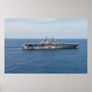 Pôster USS Wasp (LHD 1)