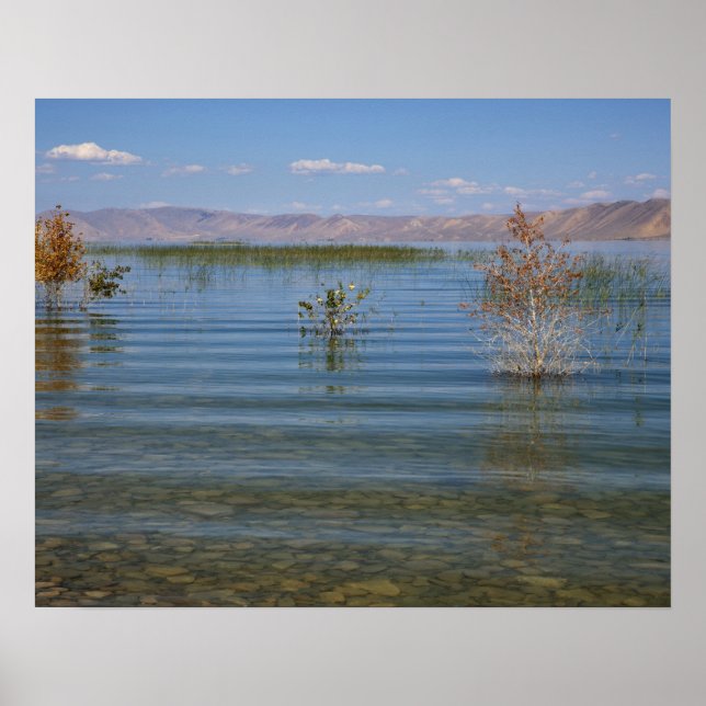 Poster UT, Lago Urso (Frente)