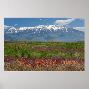 Pôster Utah, EUA. O Monte Timpanogos se Eleva Acima