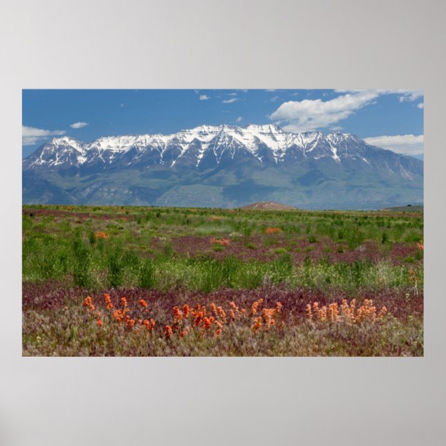 Pôster Utah, EUA. O Monte Timpanogos se Eleva Acima (Frente)