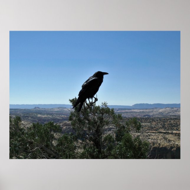 Poster Utah Raven (Frente)