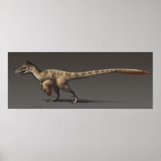 Pôster Utahraptor