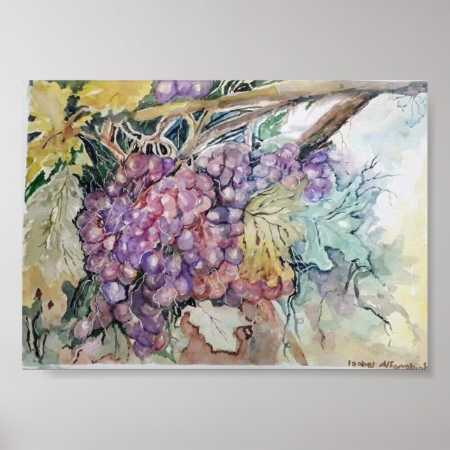 Poster Uvas (Frente)