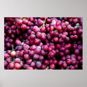 Poster Uvas de vinho tinto