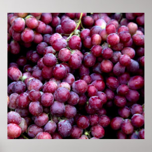 Poster Uvas De Vinho Vermelho: Fundo Luscioso.