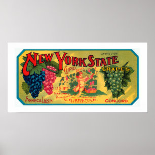 Poster Uvas dos Estados de Nova Iorque