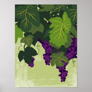 Pôster Uvas na videira