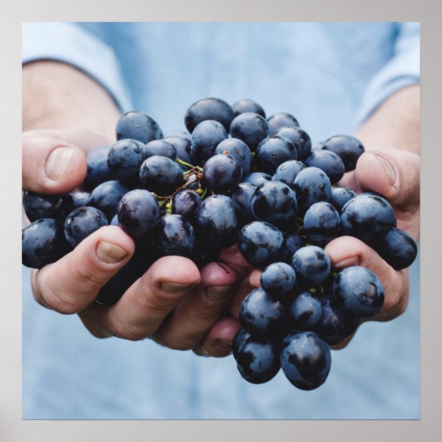 Pôster Uvas/poster de cozinha de folha (Frente)