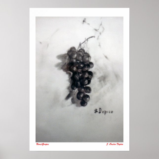 Pôster Uvas/Uvas (Frente)