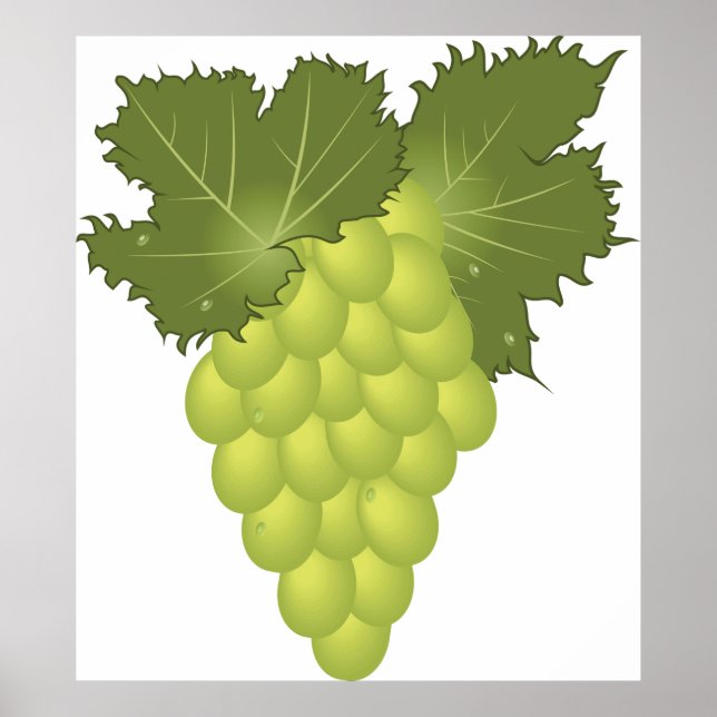 Poster Uvas Verdes (Frente)