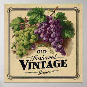 Poster Uvas Vintage Antigas, Vinho Roxo e Preto