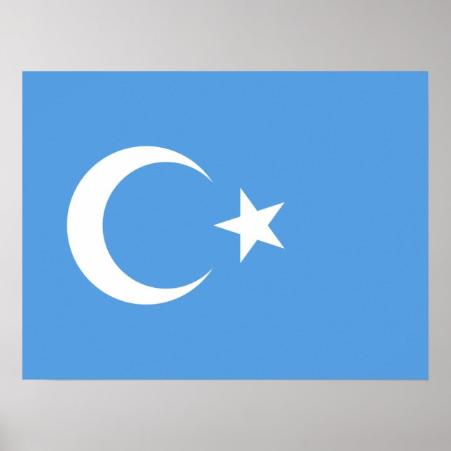 Poster Uyghur/ Turquestão Oriental (Frente)