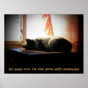 Poster Vá Embora Sol - Gato Adormecido