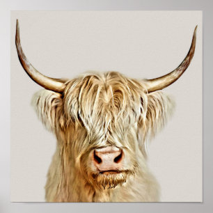 Poster Vaca Albino Highland