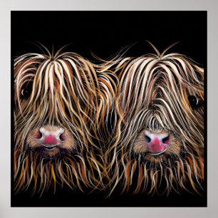 Poster Vaca escocesa "BiLL & Ted" das montanhas por