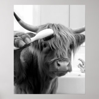 Poster Vaca Highland com Cabelo Espelho Engraçado
