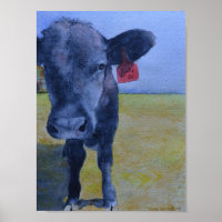 Vaca Preta com Etiqueta Vermelha