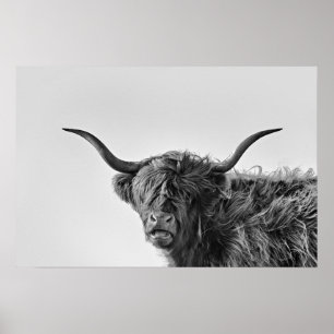Poster Vaca resistente das montanhas no monochrome