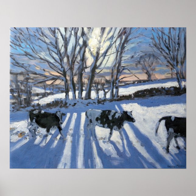 Pôster Vacas da Frísia 2009 (Frente)