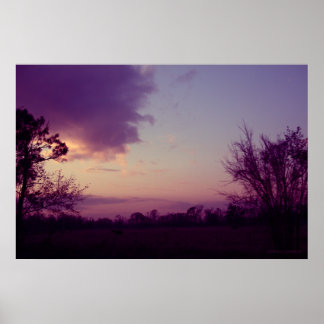 Pôster Vacas no Campo