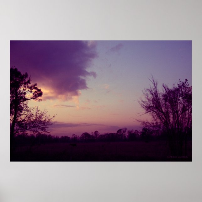 Pôster Vacas no Campo (Frente)