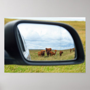 Poster Vacas no espelho
