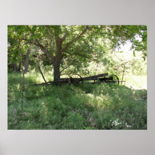 Pôster Vagão esquecido