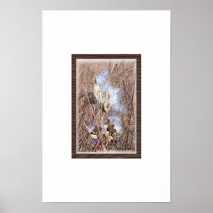 Poster Vagem do Milkweed no sopro