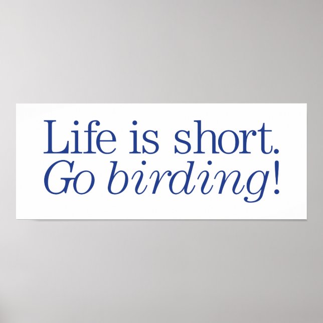 Pôster Vai Aniversário! (Frente)