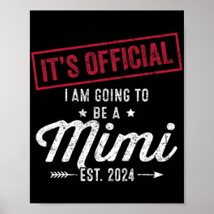 Poster Vai Ser Um Mimi Primeiro Dia de as mães Nova Vovó