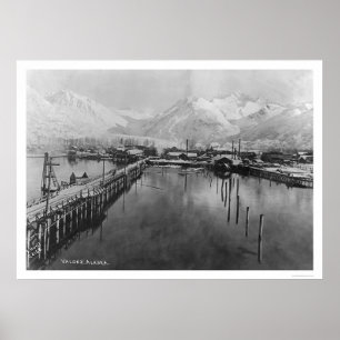 Pôster Valdez, Alaska Birdseye 1905