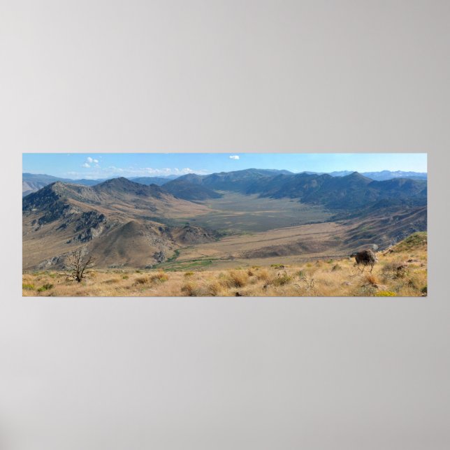 Pôster Vale (Frente)