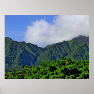 Poster Vale de Manoa