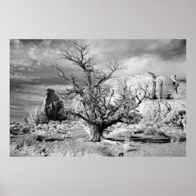 Poster Vale do Monumento (Frente)