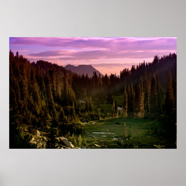 Pôster Vale do Sunset (Frente)