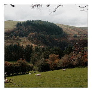 Pôster Vale Wales da flâmula
