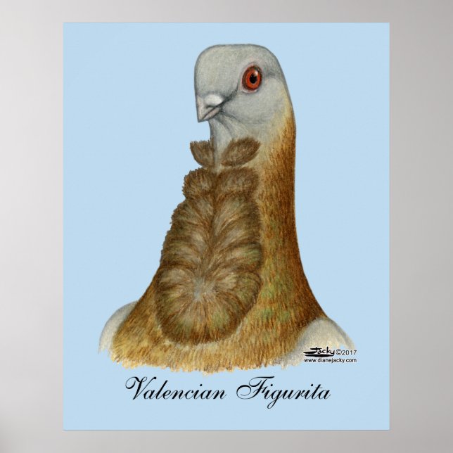 Pôster Valencian Figurita Pigeon Portrait (Frente)