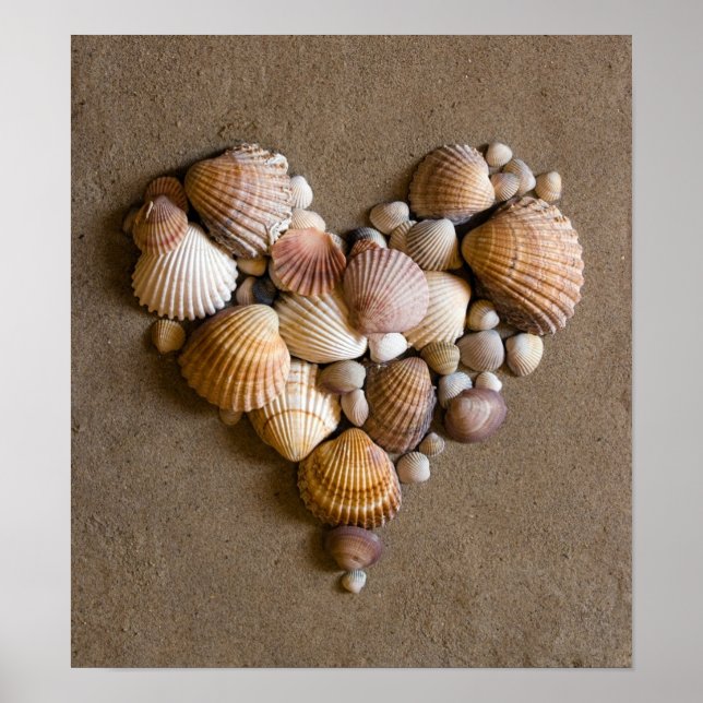 Poster Valentine Heart Made with Shells (Frente)
