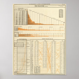 Pôster Valorização real