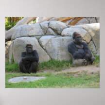 Vamos Aguardar E Ver