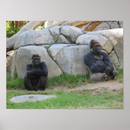 Poster Vamos Aguardar E Ver