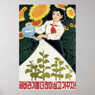 Poster Vamos Crescer Mais Girassóis! Agricultura da Core